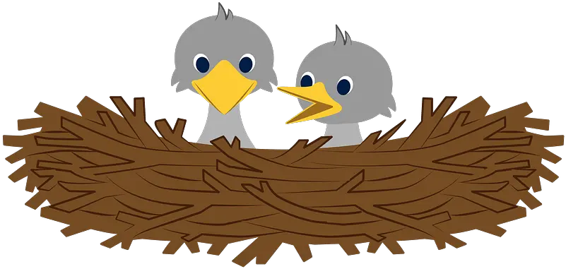 Bird Nest Clipart Birds In Nest Clipart Png Bird Nest Png