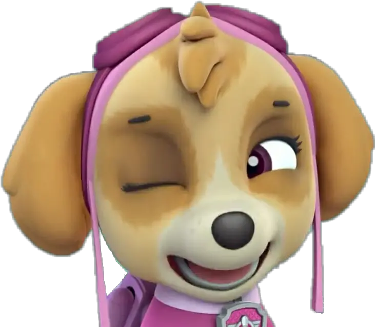 Paw Patrol Skye Png Cartoon Skye Paw Patrol Png