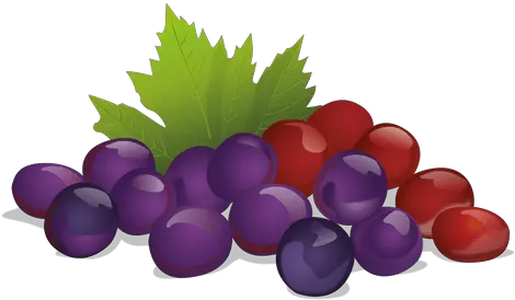 Realistic Grapes Transparent Png U0026 Svg Vector File Uvas Animado Con Fondo Transparente Grape Png