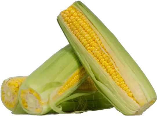 Corn Cob Online Order Home Delivery Melbourne Png Corn On The Cob Png