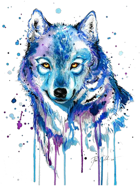 Watercolor Wolf Png U0026 Free Wolfpng Transparent Wolf Drawing Png Wolf Face Png