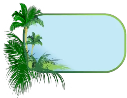 Palm Tree Picture Frames Clipartsco Tree Frame And Border Png Palm Tree Clipart Transparent Background