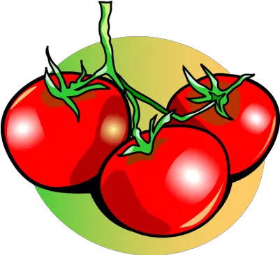 Free Tomato Background Cliparts Tomato Free Clip Art Png Tomato Clipart Png