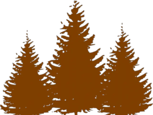 Download Pine Tree Clipart Oregon Christmas Tree Silhouette Png Pine Trees Silhouette Png