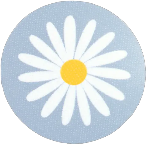 Hilda Coaster Daisy Lightblue Lovely Png Flower Icon For Twitter