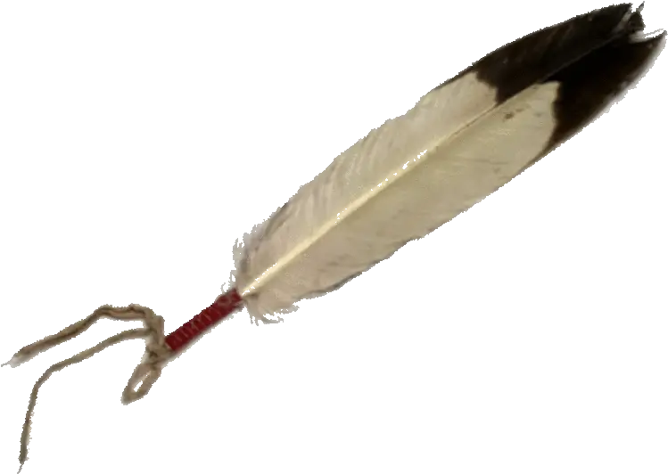 Free Indian Feathers Cliparts Download Eagle Feather Png Indian Feather Png