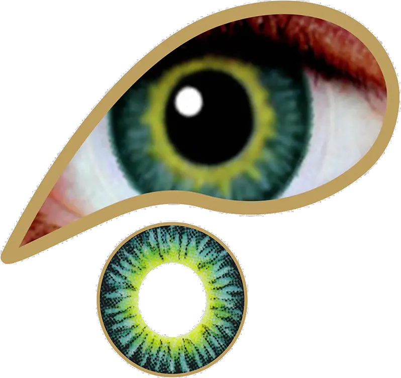 Amazon Green Contact Lenses Colored Contacts Mesmereyez Golden Brown Png Light Eyes Png