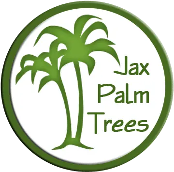 Jacksonville Florida Palm Trees U2013 Jacksonvilleu0027s Tree Source First Travel Png Palm Tree Logo