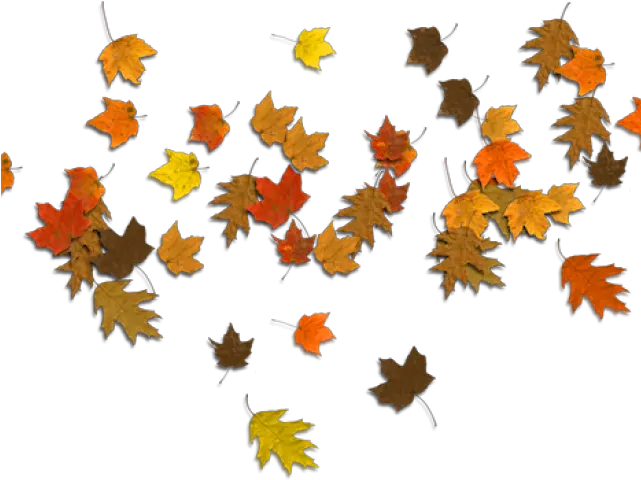 Autumn Leaves Clipart Corner Border Autumn Leaves Clipart Png Autumn Leaves Transparent Background