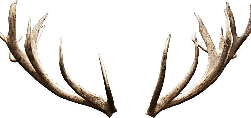 Deer Antlers Horns Png Image Deer Antlers Png Devil Horns Png