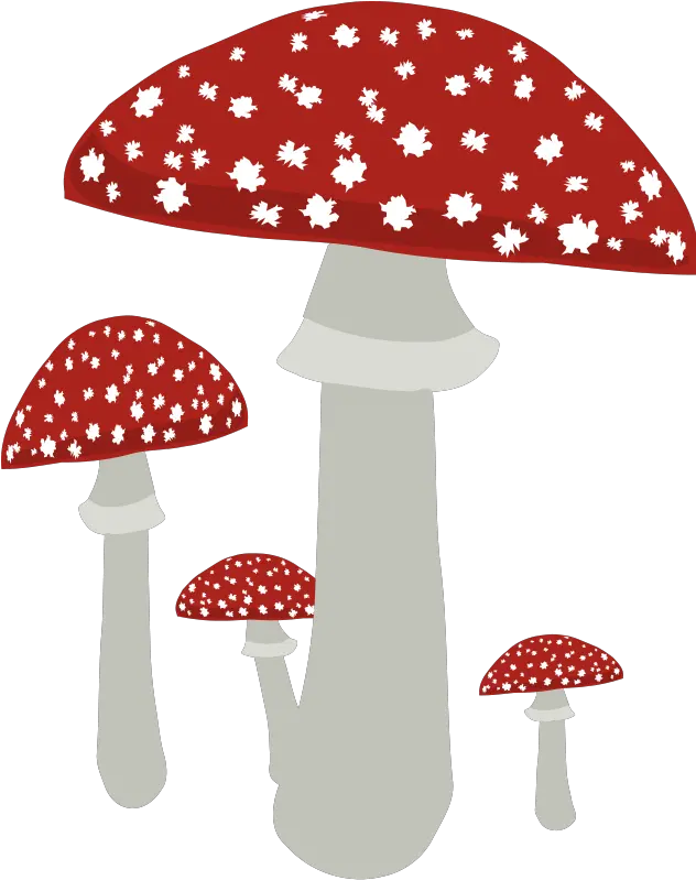 Mushrooms Clipart Image 4 Clipartingcom Transparent Background Clipart Mushroom Png Mushroom Png