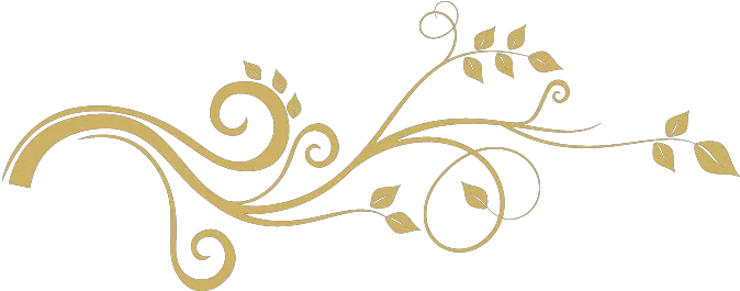 Gold Enredaderas Blanco Y Negro Png Vine Transparent