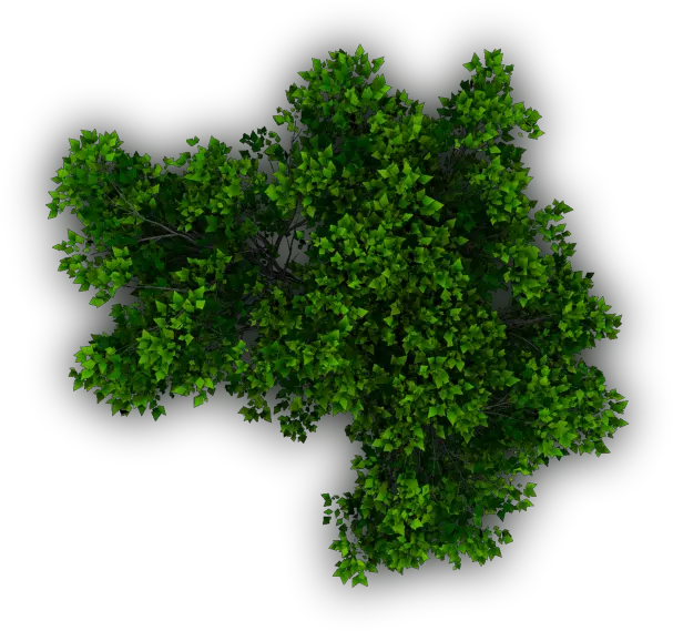 Plants In Plan Png Free Shrub Png Plan View Download Top View Plants Png Shrub Png