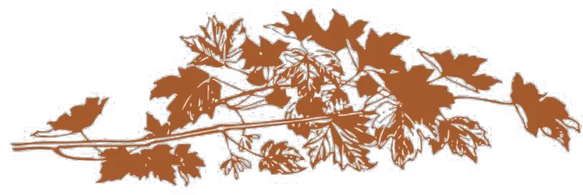 Autumn Leaves Png File Mart Leaves Painting Tree Leaves Png