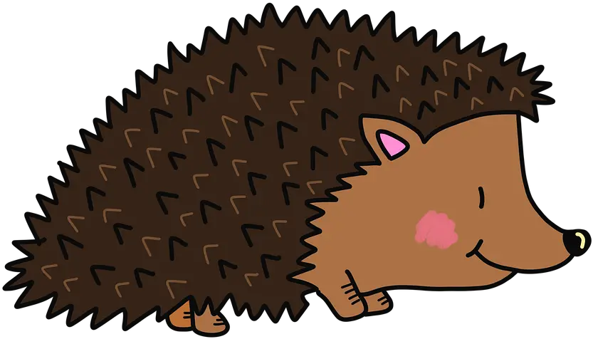 Hedgehog Autumn Cute Animals Whatcom Mountain Bike Coalition Png Hedgehog Transparent Background