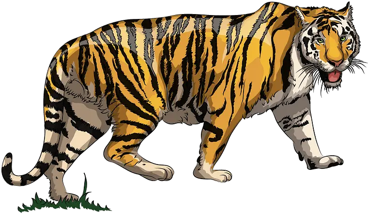 Tiger Clipart Free Download Transparent Png Creazilla Tiger Clipart Tiger Transparent