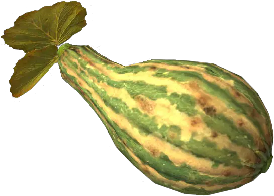 Gourd Skyrim Wiki Skyrim Gourd Png Skyrim Icon