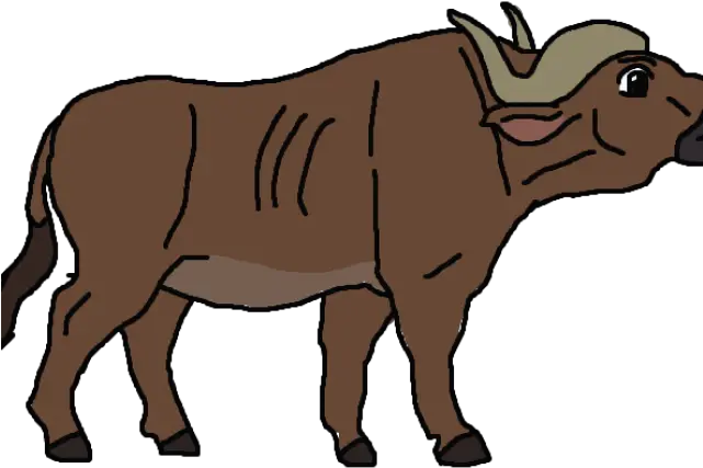 African Buffalo Clipart Wild Buffalo Clipart Transparent Png Buffalo Png