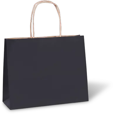 Black 11 Medium Petite Paper Twist Handle Bag Carry Bags Tote Bag Png Paper Bag Png