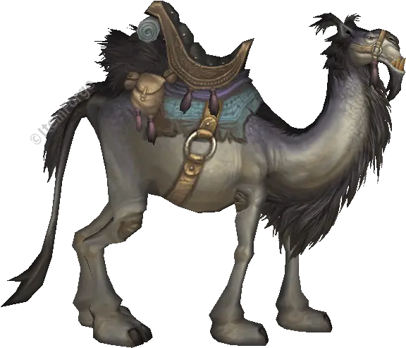 Grey Riding Camel Title The Hoarder Working Animal Png Camel Png