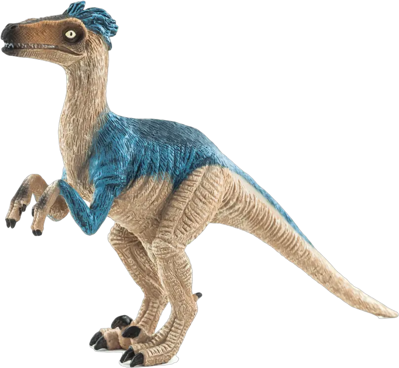 Tan And Slate Blue Color Png Velociraptor