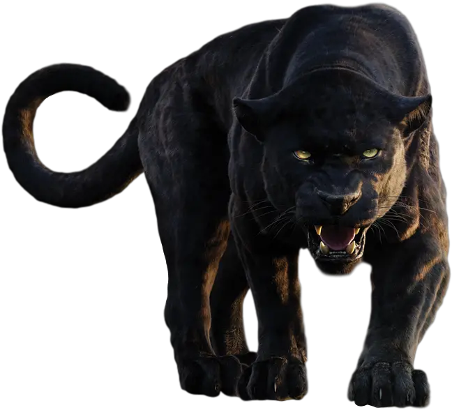 Pin By Alisha Jungle Book Bagheera Png Panther Transparent