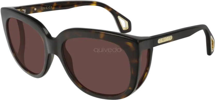 Gucci Seasonal Icon Gg0468s 002 Prada Png Goggles Icon