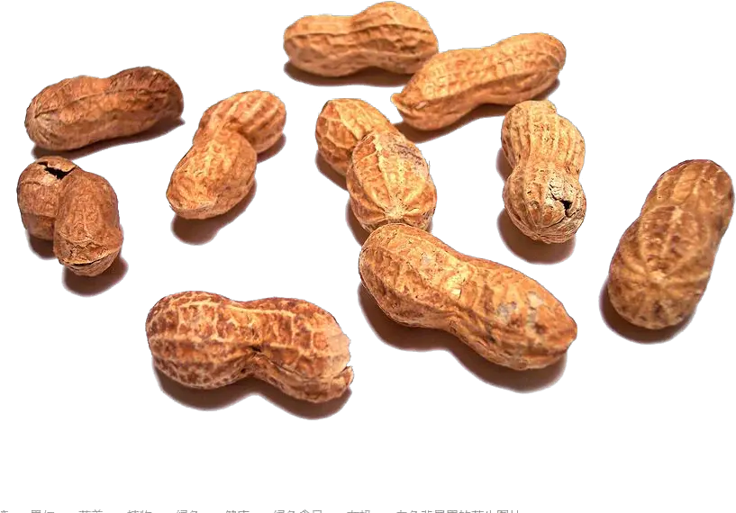 Sunshine Peanut Png Download Peanut Shells Png Peanut Png