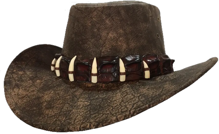 Croc Hat Band Costume Hat Png Fancy Hat Png