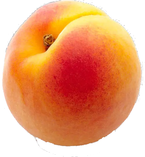 Peach Png Transparent Images Free Download Peaches