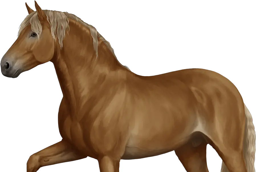 Log In Horse Reality Png Horse Transparent