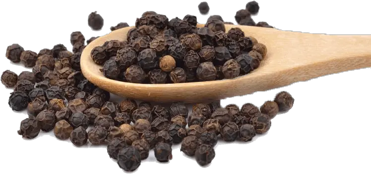 Black Pepper Lineark Global Black Pepper Pics Hd Png Pepper Transparent