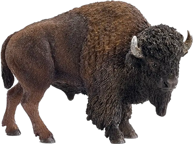 American Bison Schleich 14714 Png Bison Png