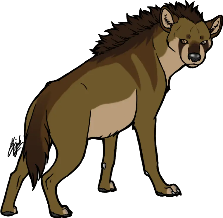 Hyena Transparent Png Image Clipart Hyena Png Hyena Png