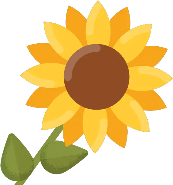 Common Sunflower Clip Art Sun Flower Png Download 618 Sunflower Clipart Transparent Background Sun Flower Png