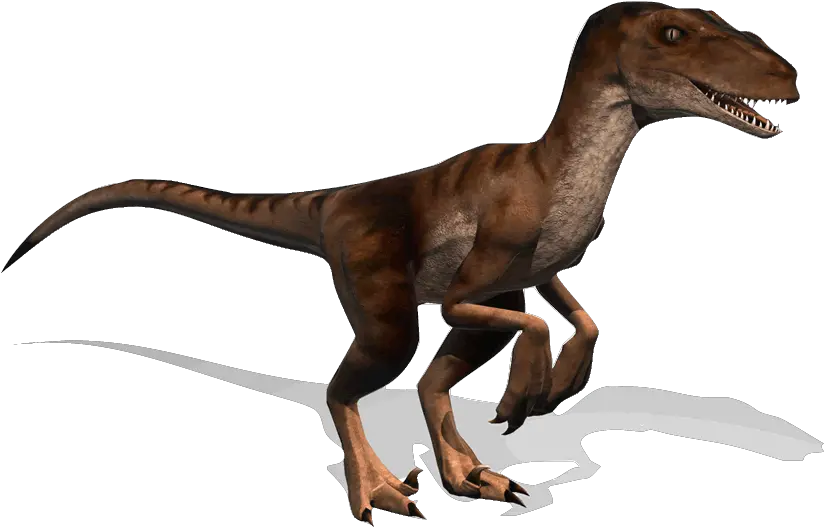 Raptor Render Hd Png Raptor Render Raptor Png