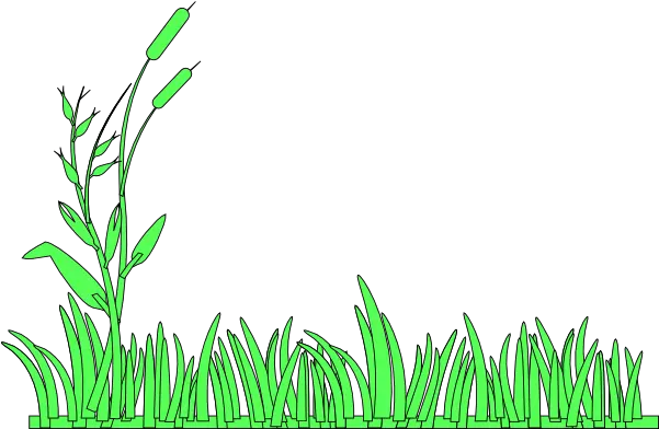 Grass Clip Art Vector Clip Art Online Grass Border Clip Art Png Grass Vector Png