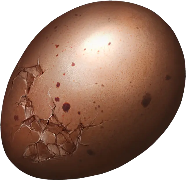 Egg Egg Png Egg Png