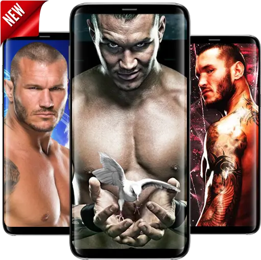 Randy Orton Wallpaper The Viper Wwe Hd Apk V1 Download Wwe No Mercy 2007 Png Wwe Icon