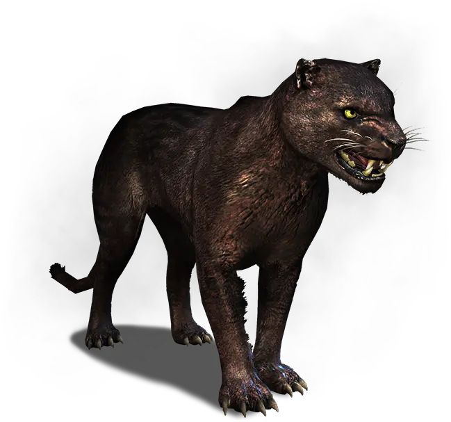 Panther The Official Witcher Wiki Pantera Png Panthers Png