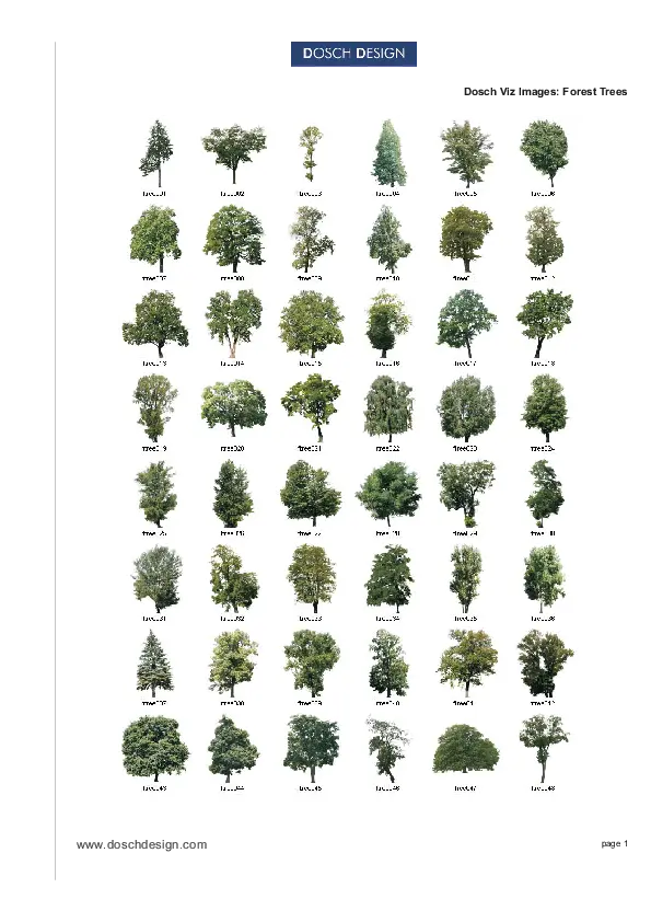 Dosch Design Dosch 2d Vizimages Forest Trees Paint Trees In Paint Tool Sai Png Forest Tree Png