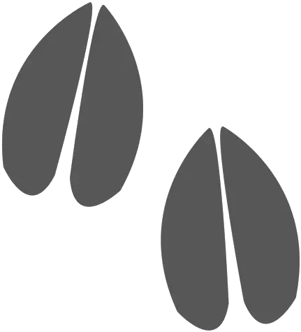 Roe Footprint Icon Transparent Png U0026 Svg Vector File Pegadas De Ovelha Png Foot Print Icon