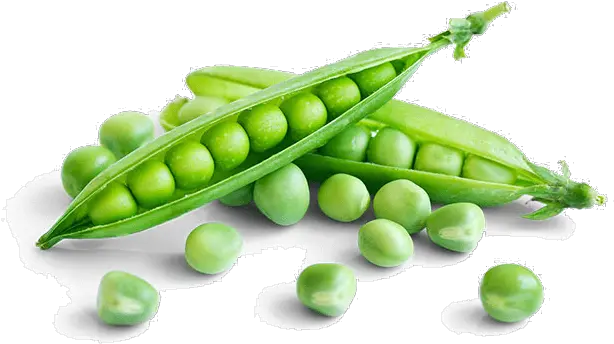 Green Giant Canada Eat More Veggies Green Piece Vegetable Png Veggies Png