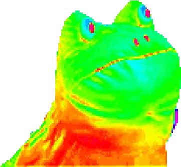 Dat Boi Studios Mlg Frog Gif Png Dat Boi Transparent