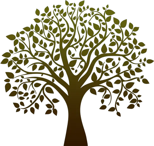 Tree Life Png Transparent Images Free Bodhi Tree Vector Png Life Png