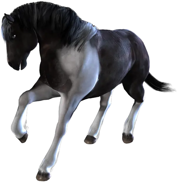 Download Home Poser And Daz Studio Content Horses Animated Transparent Horses Png Horses Png