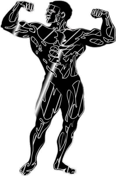 Body Building Clip Art Vector Clip Art Online Body Buildings Cliparts Png Body Builder Png