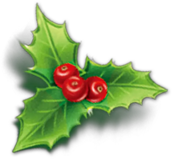 Holly Aquifoliales Christmas Mistletoe Icon Cherry Png Mistletoe Icon Holly Png