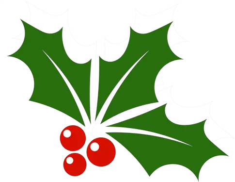 Holly Leaf Png U0026 Free Leafpng Transparent Images Holly Leaf Png Leaves Clipart Png