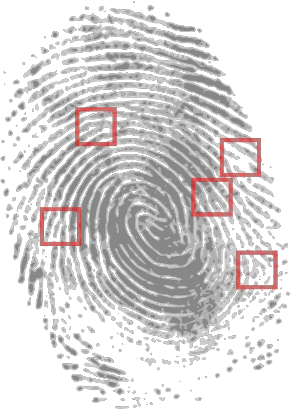 Fingerprint Png Clip Arts For Web Clip Arts Free Png Crime Scene Fingerprints Fingerprint Png